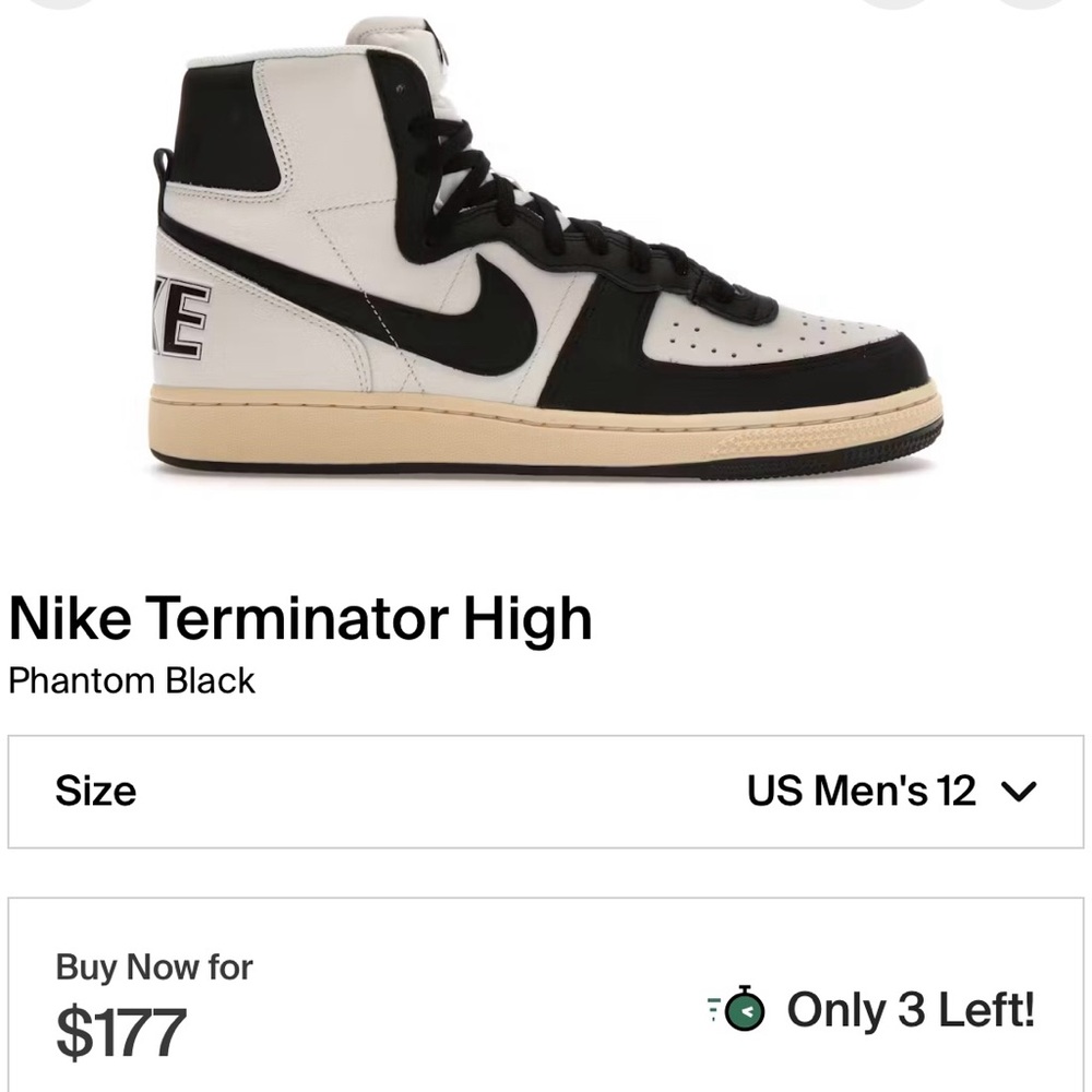 Nike Terminator High-Tops